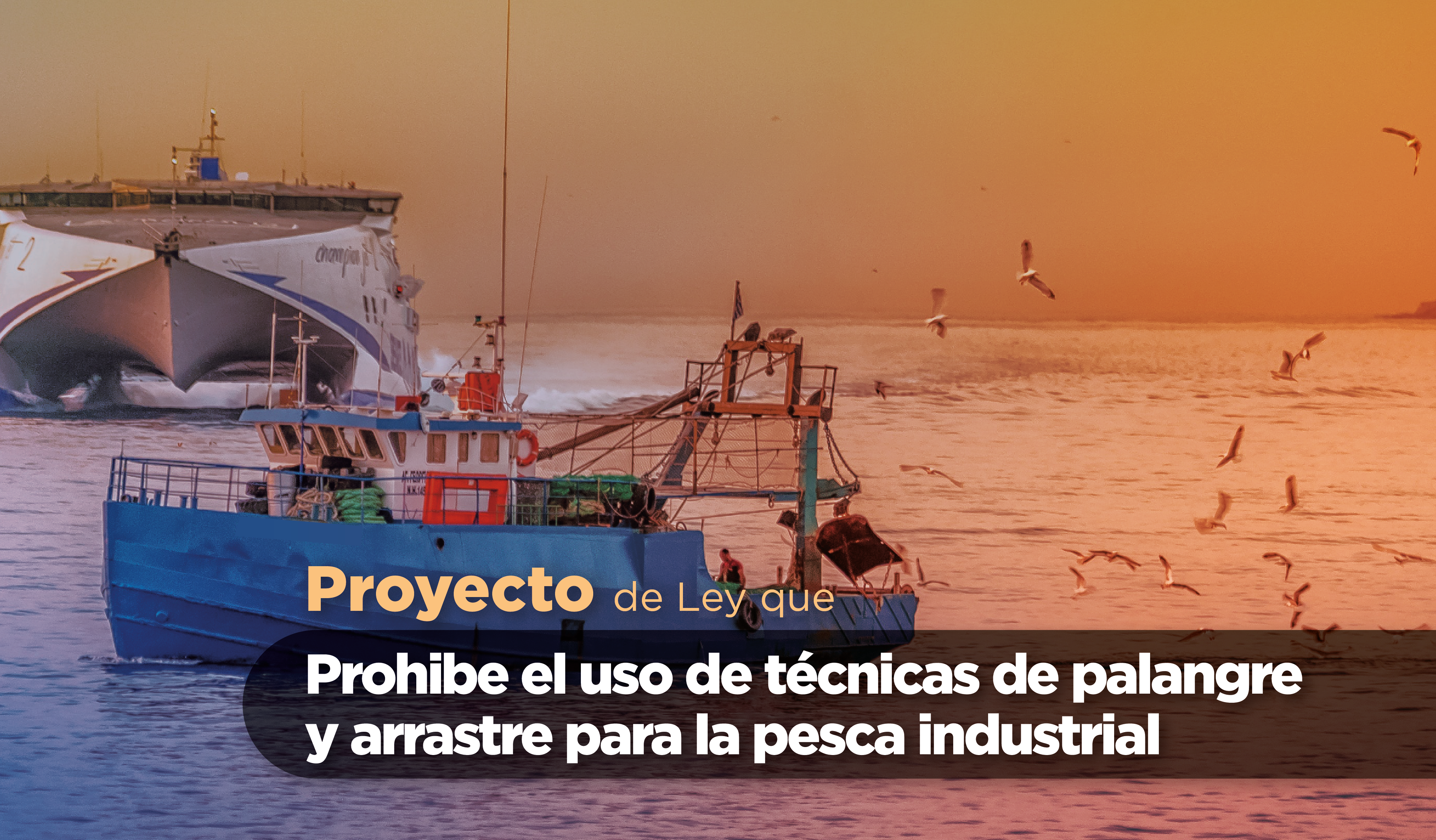 prohíbe el uso de técnicas de palangre y arrastre en la pesca industrial